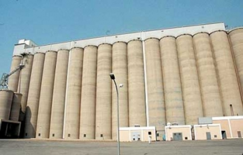 المؤسسة العامة للحبوب تدعو المستثمرين السعوديين في الخارج لتوريد 355 طن من القمح