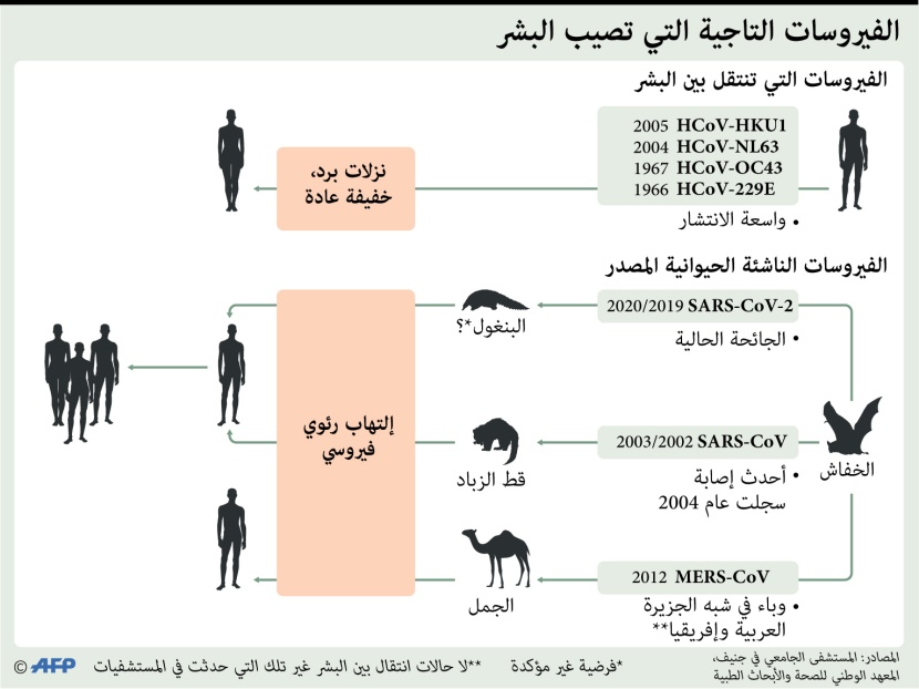 مصدر أبرز الفيروسات التاجية التي تصيب البشر