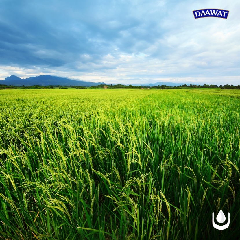 "سالك"  تستحوذ على 29.9 % من شركة هندية مختصة في إنتاج الأرز