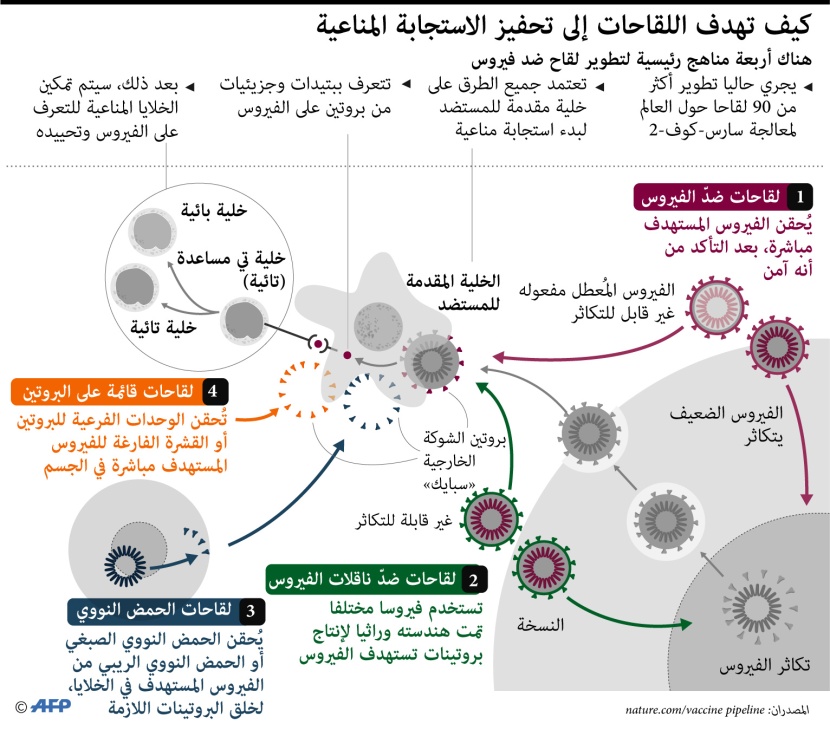 كيف تهدف اللقاحات إلى تحفيز الاستجابة المناعية