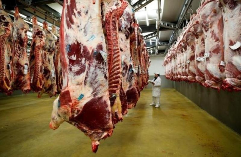 ظهور بؤرة لكورونا في مجازر بألمانيا