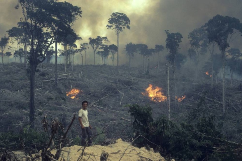 غابات الأمازون المطيرة تتحول إلى سهول قاحلة من جراء الحرائق المتعمدة لأهداف تجارية