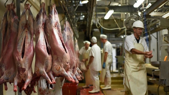 2020 .. أقل عام استهلاكا للحوم في العالم منذ عقود