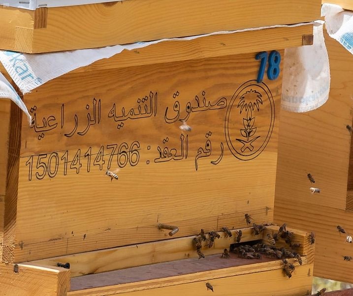 من الوجهات السياحية بالمملكة.. مدينة الـ 800 ألف كيلوجرام من العسل