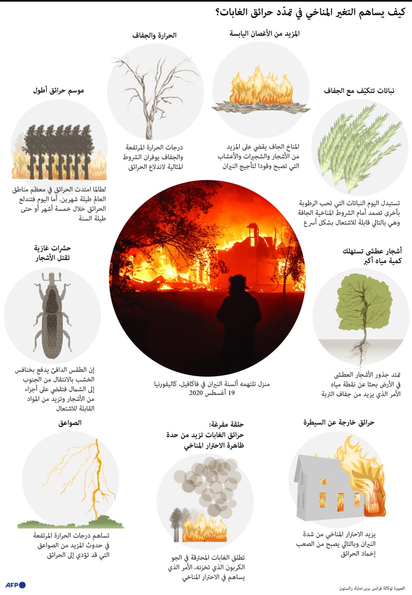 كيف يساهم التغير المناخي في تمدد حرائق الغابات؟