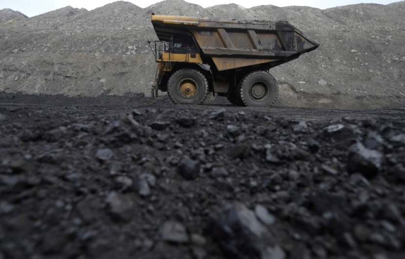 نشطاء بيئيون يعطلون محطتين لتوليد الطاقة من الفحم في ألمانيا