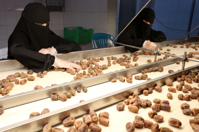 سعوديات يعملن على خط إنتاج مصنع لتعبئة التمور في الأحساء