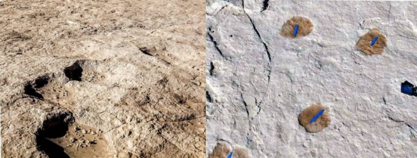 اكتشاف آثار أقدام لبشر وحيوانات في السعودية تعود إلى 120 ألف عام