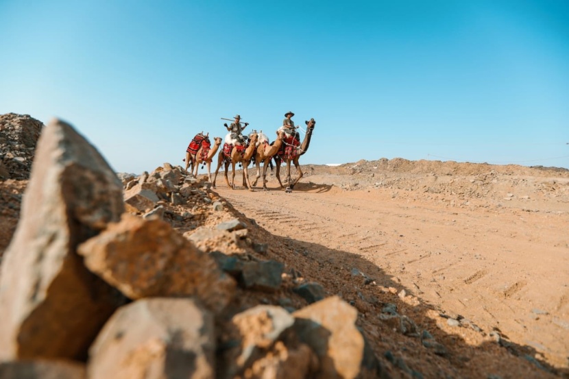 نادي الإبل يسير قافلته الثانية "من المستقبل إلى الموروث"