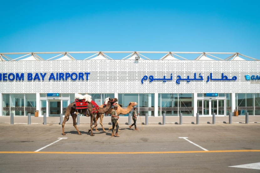 نادي الإبل يسير قافلته الثانية "من المستقبل إلى الموروث"