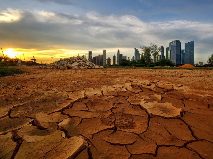 «وود ماكينزي»: العالم سيخفق في احتواء الاحتباس الحراري دون استثمارات هائلة