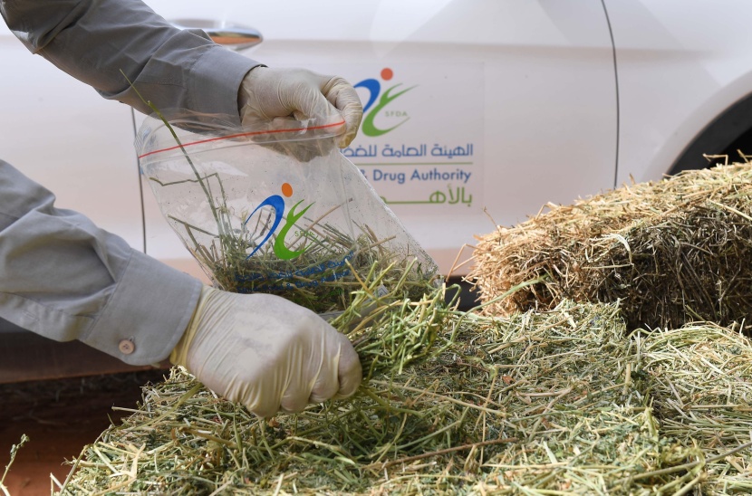 ضبط 3875 طنا من الأعلاف المخالفة خلال الشهر الماضي في جميع المناطق
