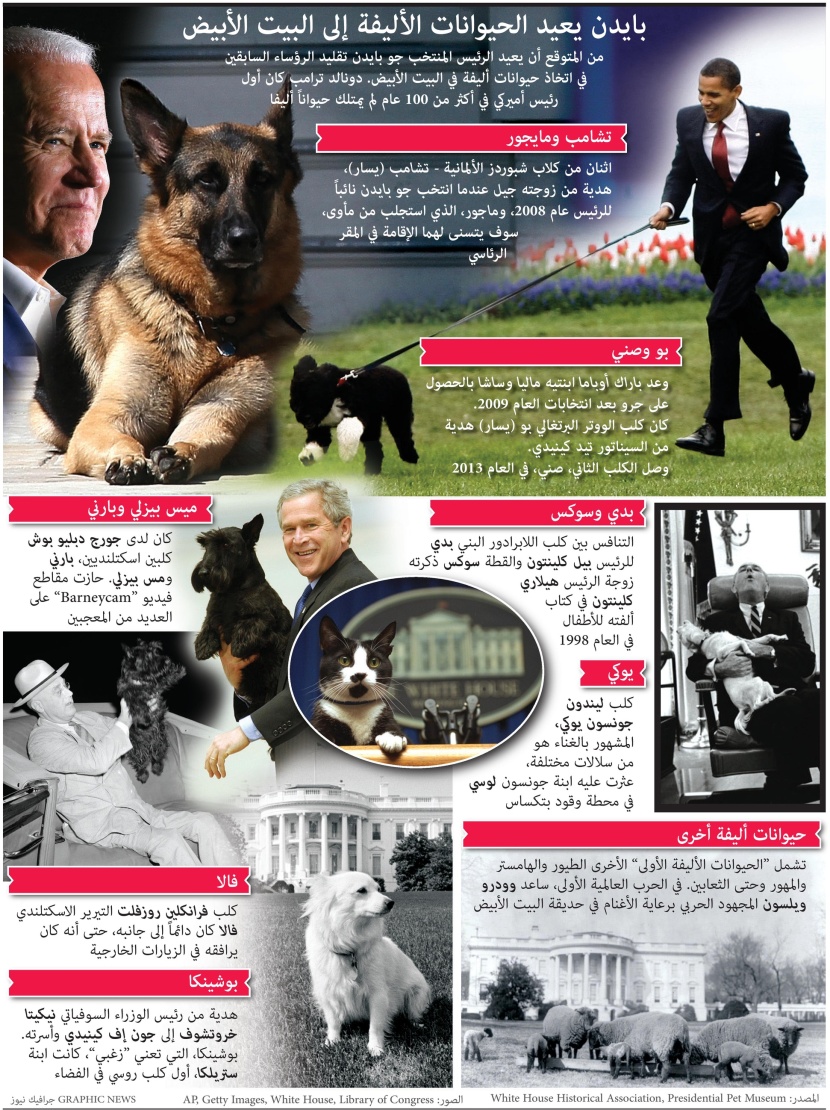 بايدن يعيد الحيوانات الأليفة إلى البيت الأبيض.. ترمب أول رئيس أمريكي منذ 100 عام لم يمتلك حيوان أليف