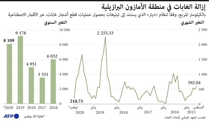 تدمير غابات الأمازون في البرازيل يقفز لأعلى مستوى في 12 عاما في ظل رئاسة بولسونارو
