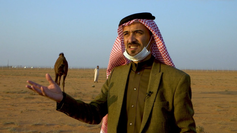 بعد 30 عاما.. الإبل العراقية تحضر في "المزاين"