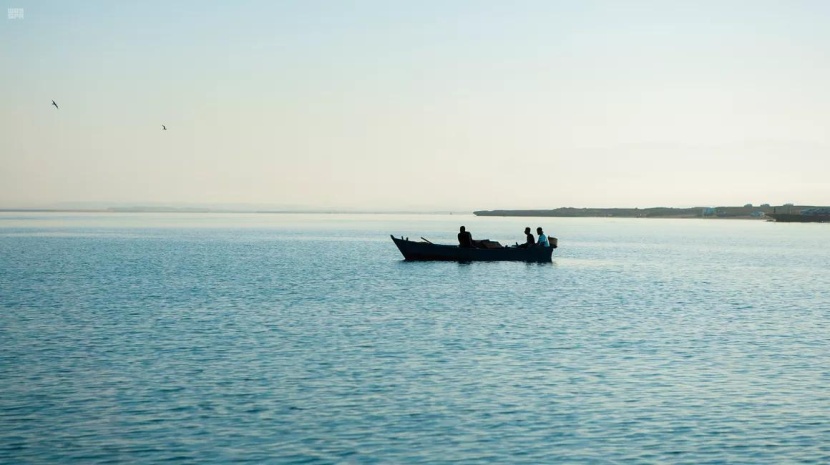  "جزيرة البريدي"... الوجهة الساحلية الأمثل لعطلات العائلة السياحية