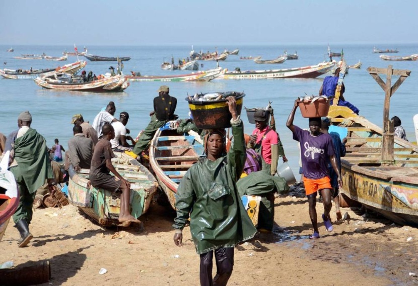 سفن الصيد التركية والصينية تهدد باستنزاف الثروة السمكية في المياه الموريتانية