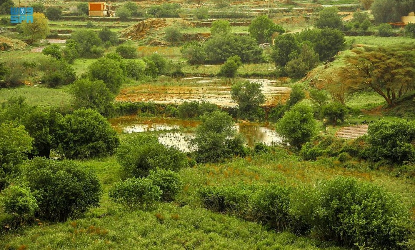 أمطار الخير والبركة تعم منطقة الباحة