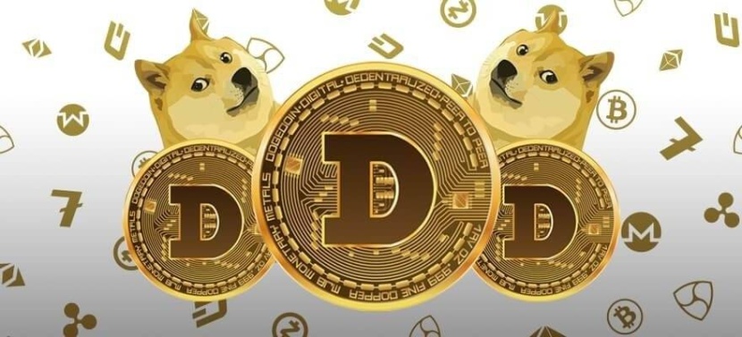 "عملة النكتة" تفضح لعبة العملات المشفرة