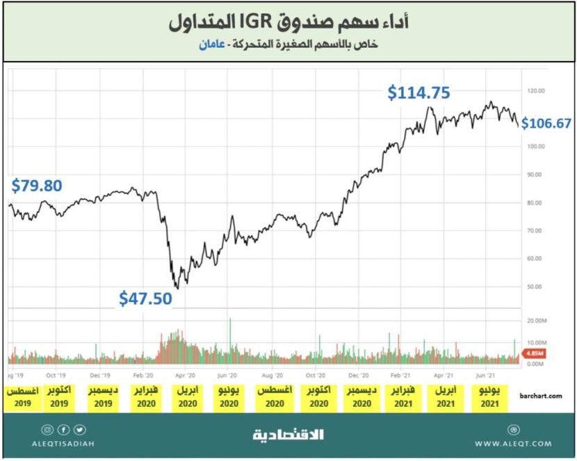 ظاهرة أسهم الـ "ميم" .. هل نهتم بها؟