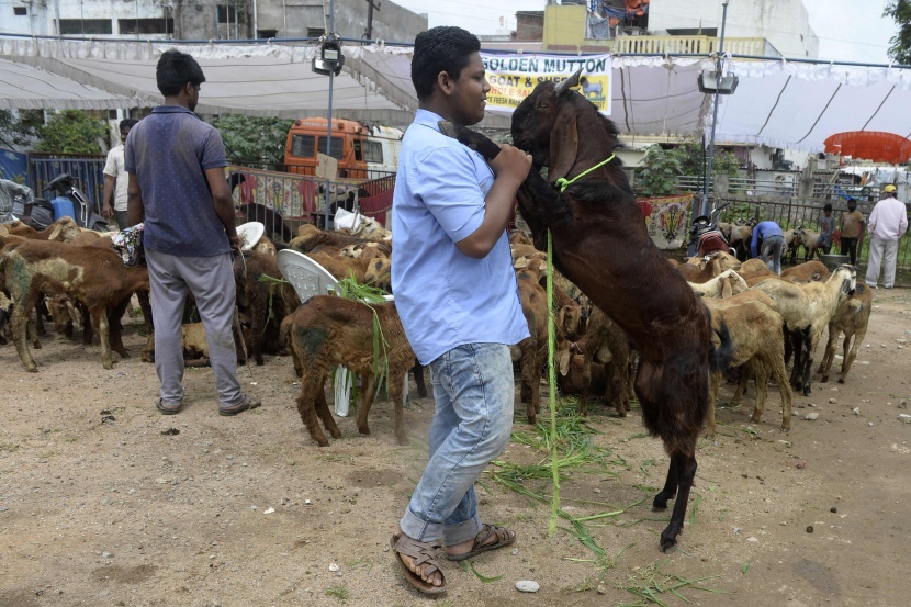   المسلمون يحتفلون بأول أيام عيد الأضحى 