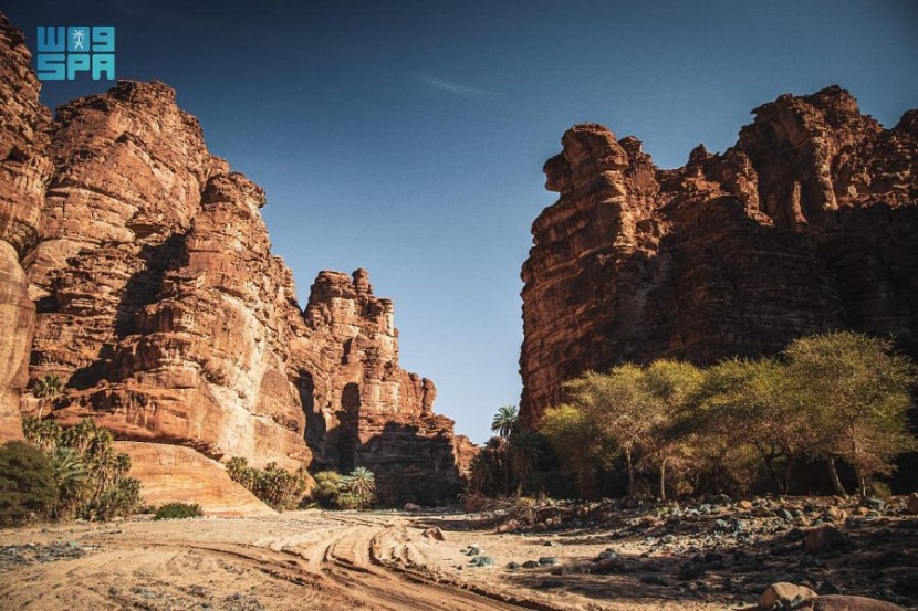تبوك .. سحر الطبيعة وعبق التاريخ في صيف السعودية