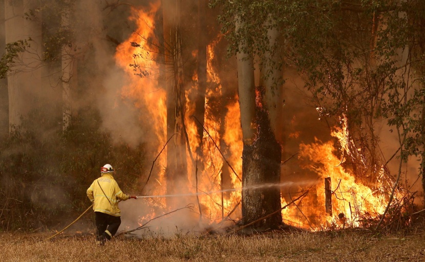 ألمانيا ترسل أطقم إطفاء لليونان للمساعدة في مكافحة حرائق الغابات