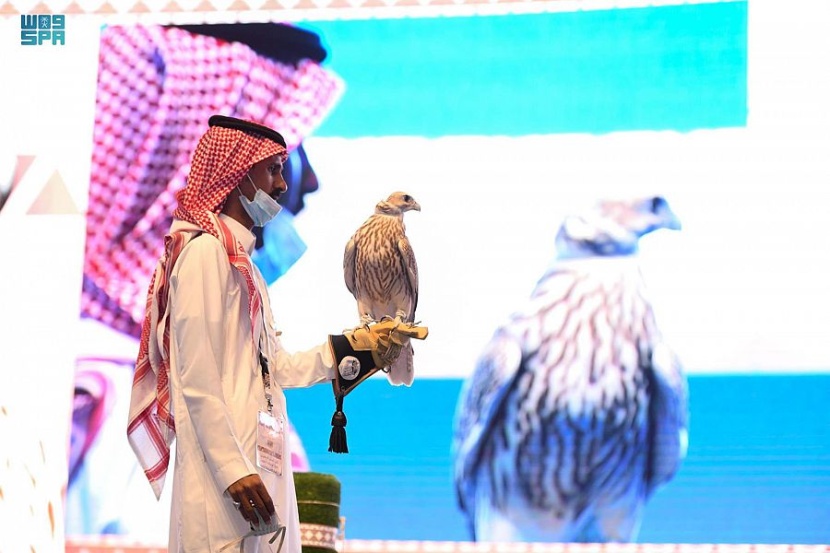 مقابل 270 ألف ريال.. بيع أغلى صقر حرّ من حرّ إنتاج سعودي