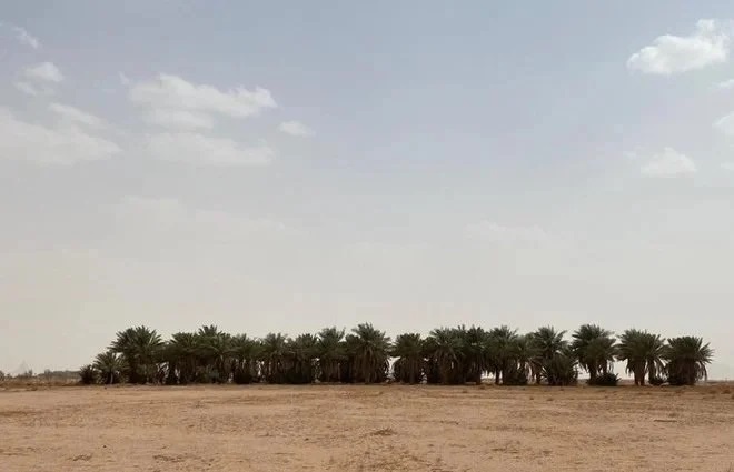 بعد إنجارها من "إحكام" .. تسليم عدد من المواطنين وثائقهم لطلبات تملك العقارات في حائل