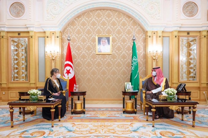 ولي العهد يستعرض مع رئيسة الحكومة التونسية مبادرات المملكة النوعية للمحافظة على البيئة