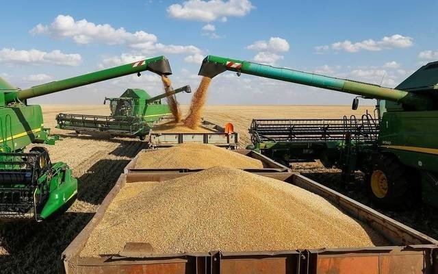 576 ألف طن توريد المزارعين للقمح المحلي في 2021 .. بارتفاع 49 %