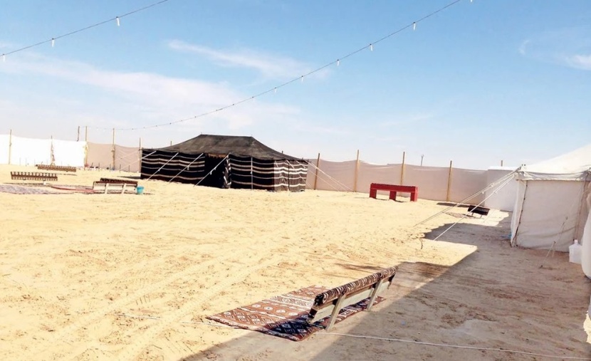 "تنمية الغطاء النباتي" : بدء إصدار تصاريح المخيمات