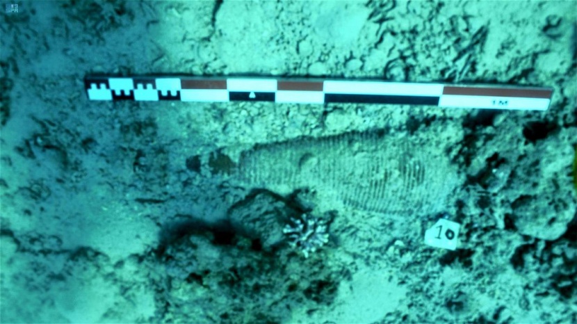 "التراث" تكتشف حطام سفينة غارقة في سواحل محافظة حقل