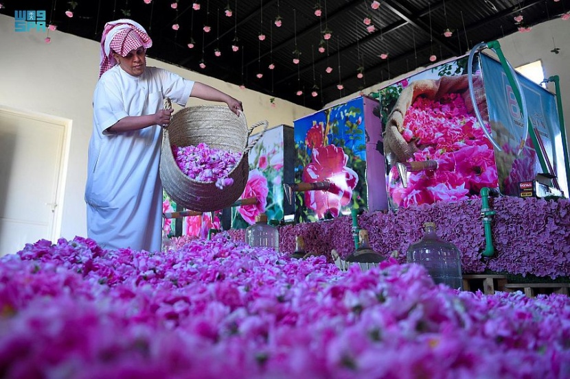 بساتين الورد الطائفي فضاء فسيح ومتنفس لإفطار رمضاني مختلف