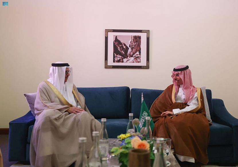وزير الخارجية يبحث مستجدات القضايا الإقليمية والدولية مع عدة وزراء