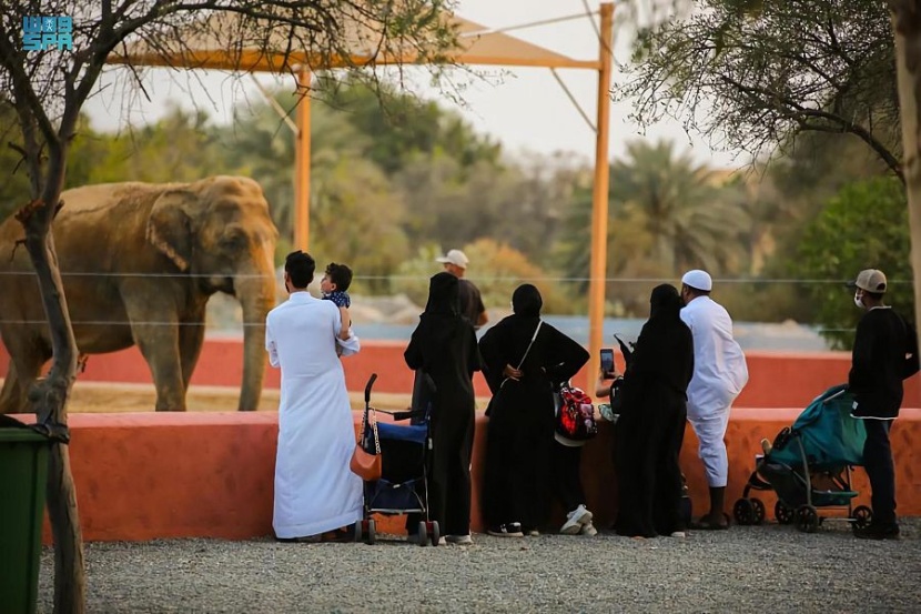 "جدة جنغل" تستقبل زوار موسم جدة في أحضان الطبيعة بين أكثر من 1200 نوع من الحيوانات والطيور