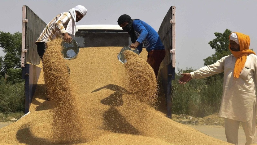 الحمائية منحنى جديد يعمق أزمة العالم الغذائية .. حرية التجارة في مأزق