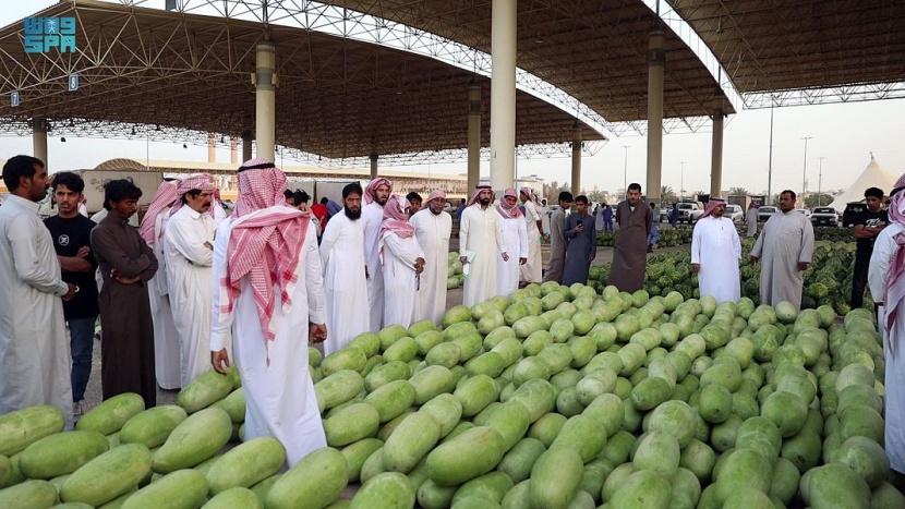 بريده تنتج 6.3 مليون حبة حبحب سنويا بـ 100 مليون ريال