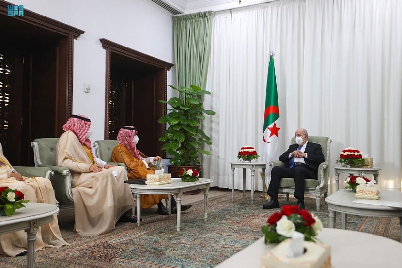 وزير الخارجية يبحث مع الرئيس الجزائري القضايا العربية والإقليمية الراهنة