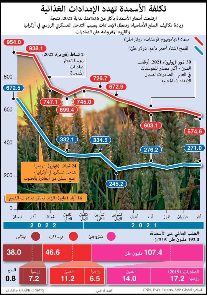 مجلس الحبوب الدولي يخفض توقعاته لإنتاج القمح .. الأدنى في 3 أعوام