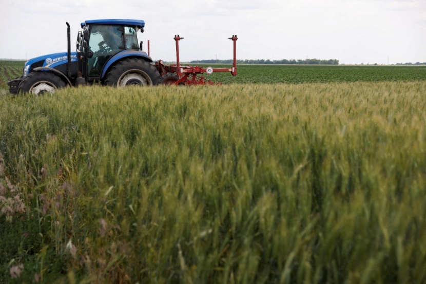 صادرات أوكرانيا من الحبوب تهبط 40% خلال يونيو إلى 613 ألف طن