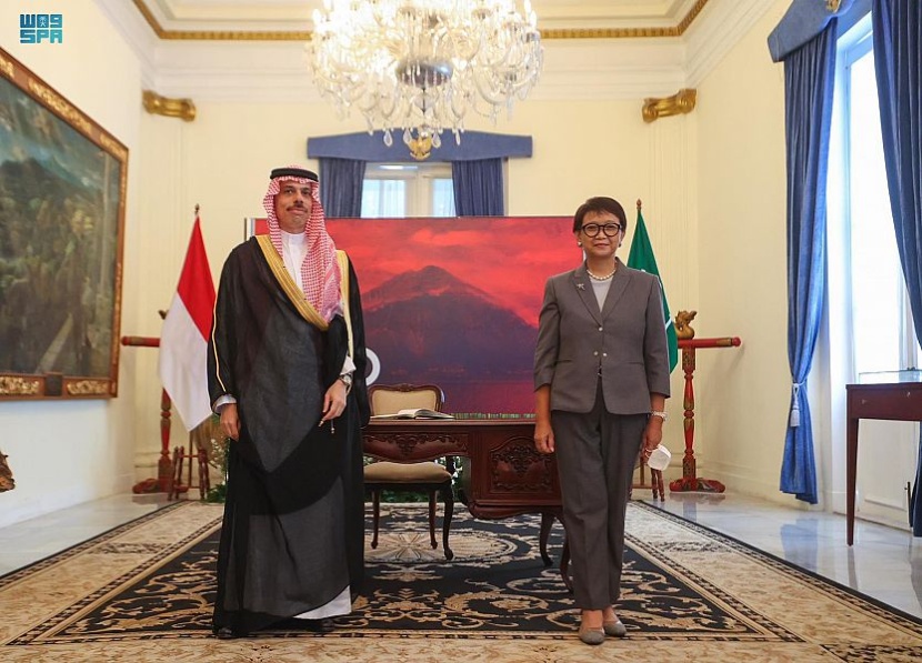 وزير الخارجية يبحث مع رئيس إندونيسيا العلاقات الثنائية بين البلدين
