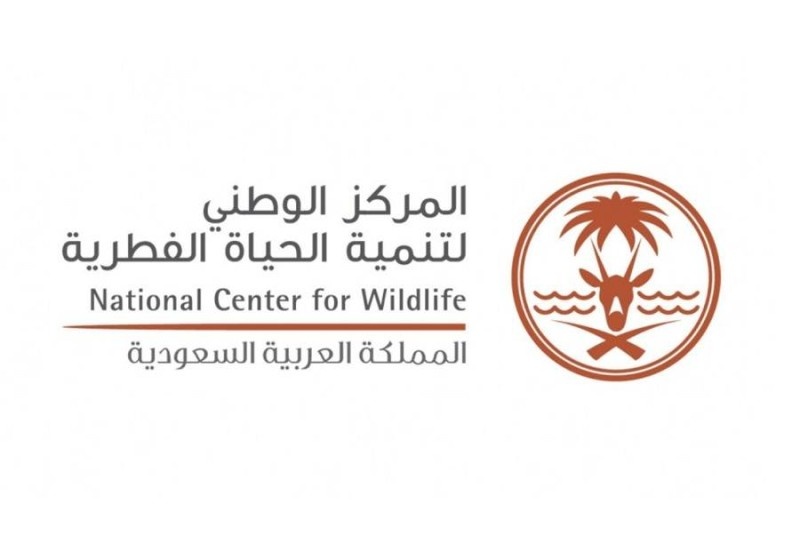 اكتشاف بقايا 17 فهدا صيادا في دحل شمال السعودية .. منها مومياوات محتفظة بتفاصيلها
