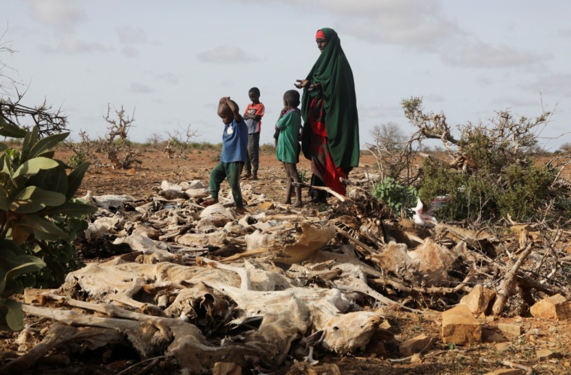 5 مواسم دون أمطار .. القرن الأفريقي على شفا كارثة إنسانية لم يسبق لها مثيل