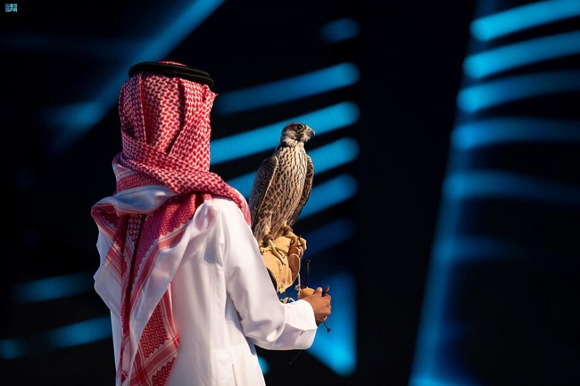 بيع فرخ شاهين بـ 166 ألف ريال في أول ليالي مزاد نادي الصقور