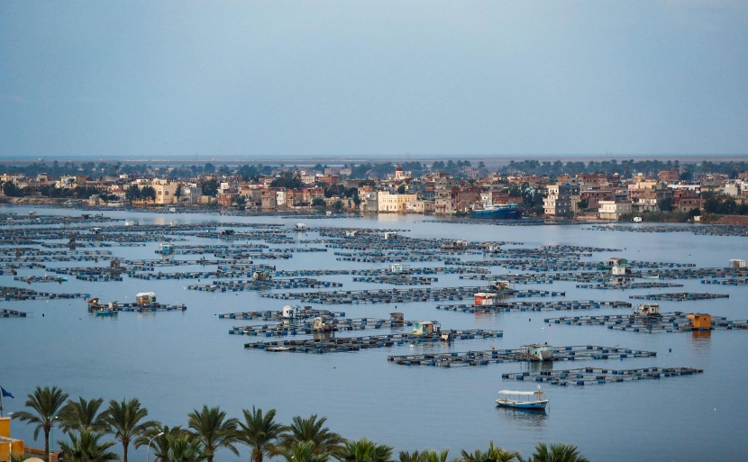 من مصر إلى أوغندا .. الجفاف يهدد النيل خلال العقود المقبلة 