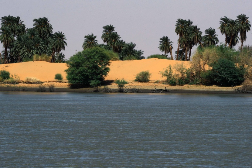 من مصر إلى أوغندا .. الجفاف يهدد النيل خلال العقود المقبلة 