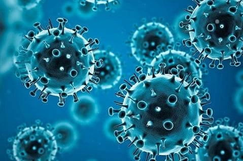 دراسة معملية: سلالة كورونا أصبحت أكثر خطورة
