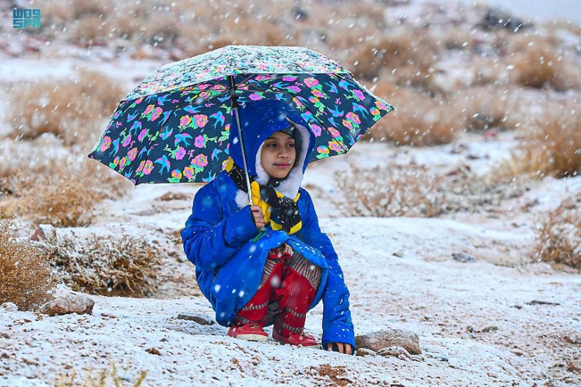 الزائر الأبيض .. موعد منتظر لأهالي تبوك
