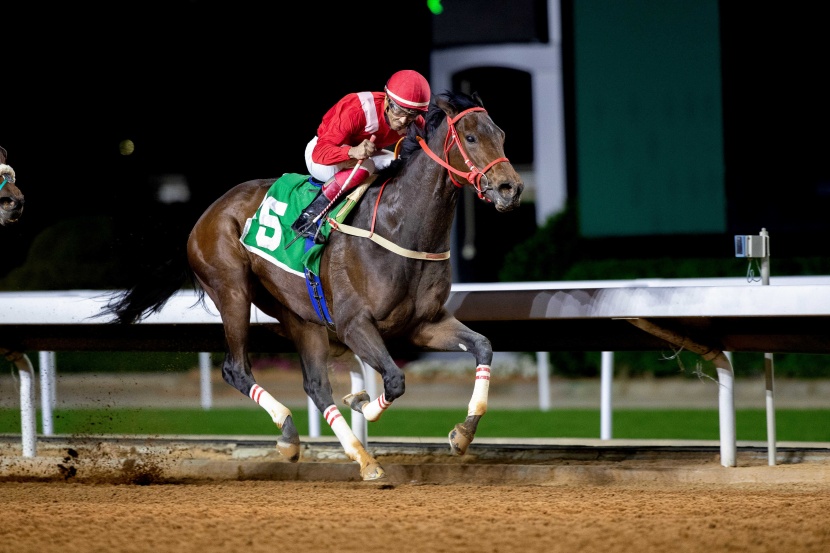 الحفل 74 لنادي سباقات الخيل .. "جني" تكسب التحدي و"قربه" تحصد كأس "الدفاع"